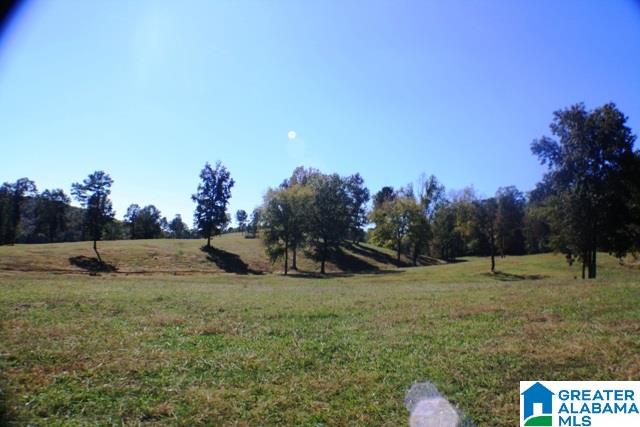 1785 Nunnally Lake Road Ohatchee, AL 36271 - Photo 40 of 50