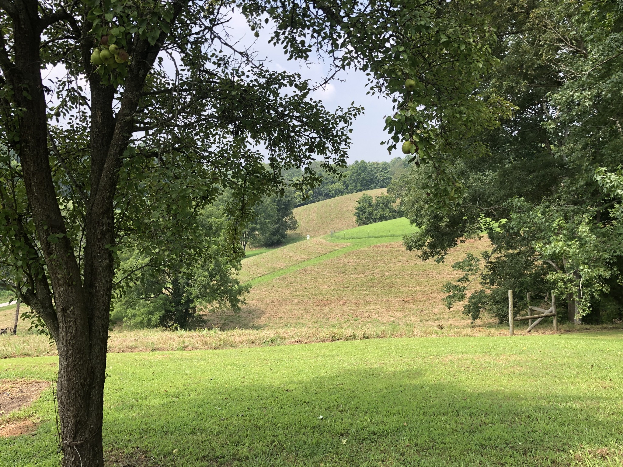 404 Evans Road Winchester, TN 37398 - Photo 45 of 50 Gallery Image 45