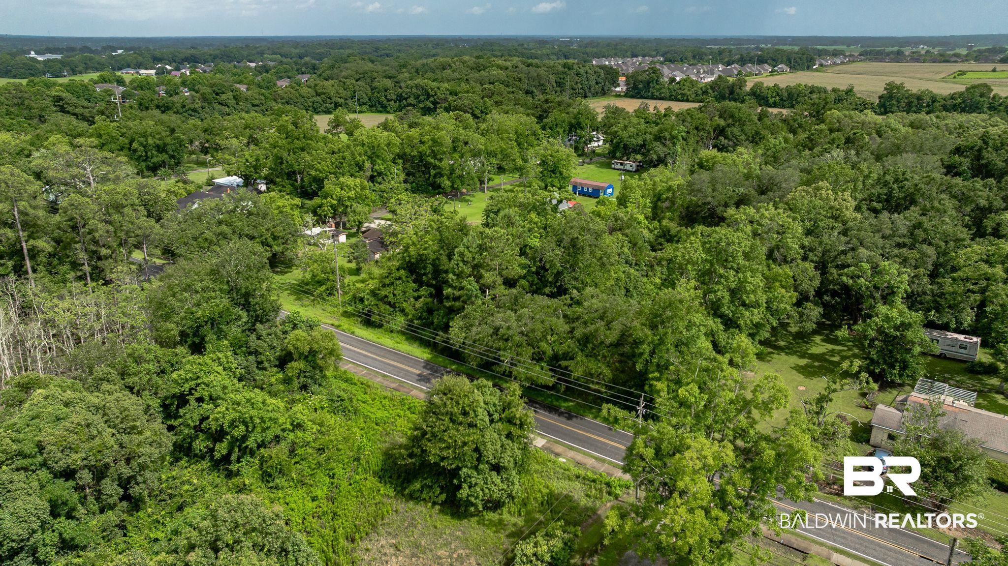 7360 Twin Beech Road Fairhope, AL 36532 - Photo 15 of 16 Aerial view of a forest