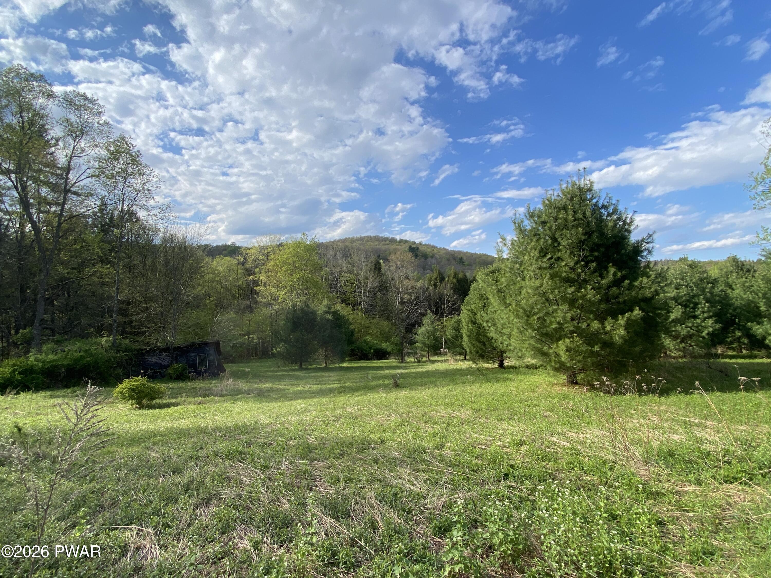 0 John Davis Road Beach Lake, PA 18405 - Photo 6 of 22