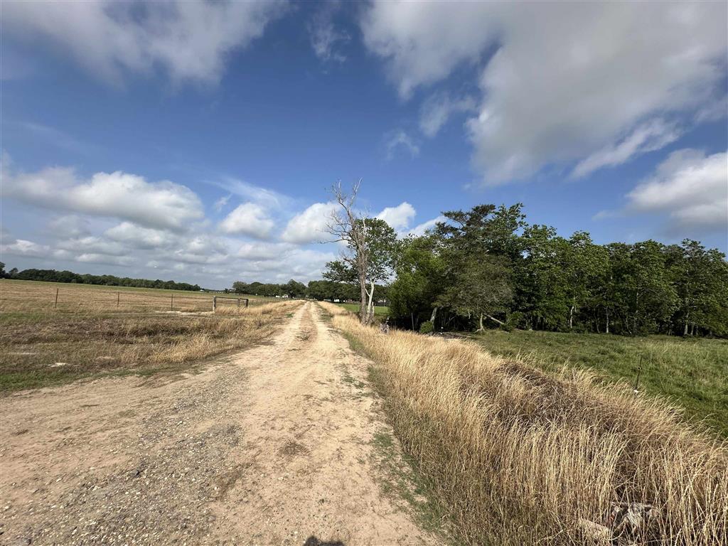 Tbd Howard Road Iota, LA 70543 - Photo 2 of 3 Gallery Image 2