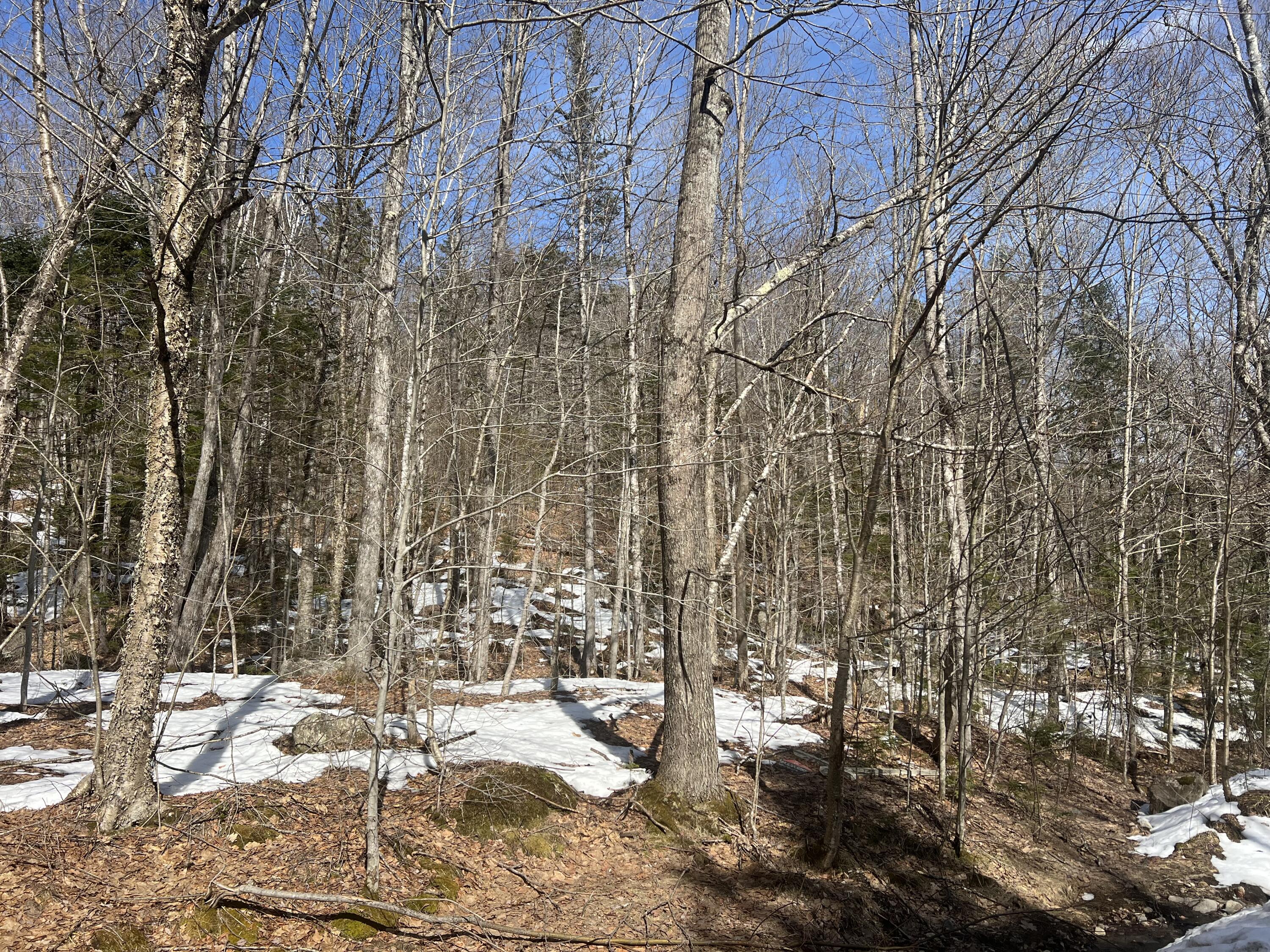 Tbd Tbd Sunday River Road Newry, ME 04261 - Photo 3 of 10 IMG_6731