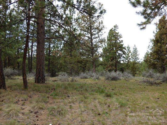 3202 McClellan Road Bend, OR 97702 - Photo 22 of 25 a view of a forest with trees in the background