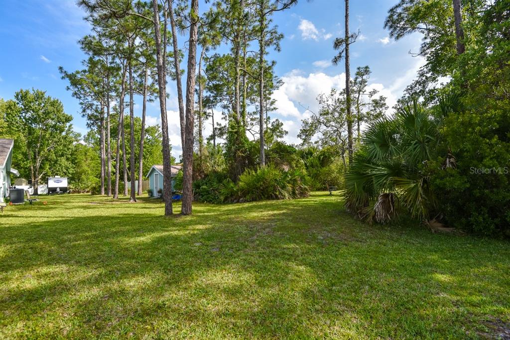 213 Riverbend Road Ormond Beach, FL 32174 - Photo 68 of 78 a view of a trees in a yard