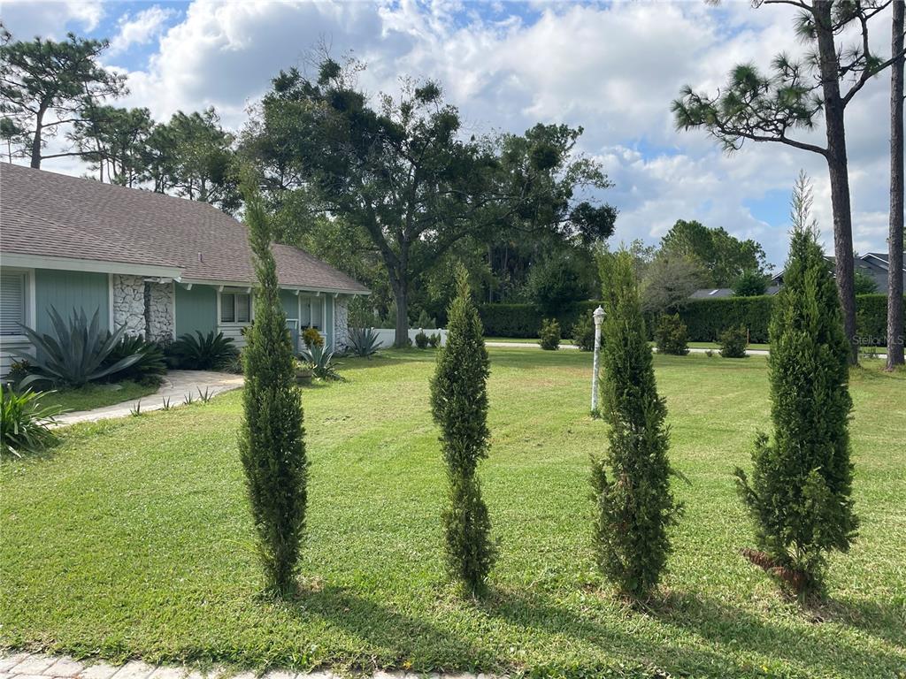 213 Riverbend Road Ormond Beach, FL 32174 - Photo 72 of 78 a backyard of a house with lots of green space