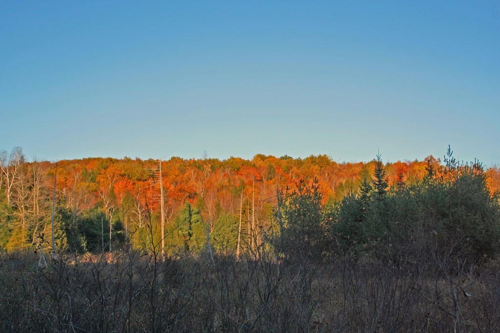Lot 2-1 Whitaker Road Troy, ME 04987 - Photo 3 of 18 Photo