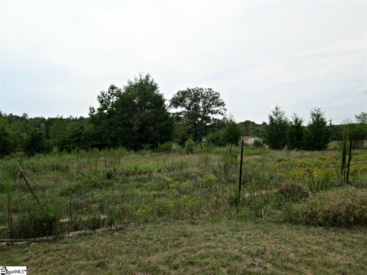 1403 Kilgore Bridge Road Woodruff, SC 29388 - Photo 22 of 25