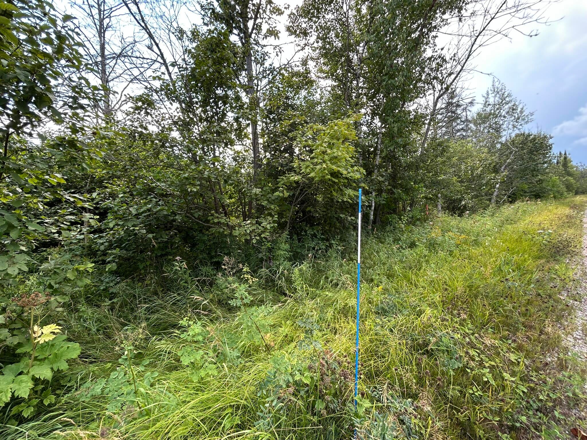 Epoufette Bay Road Naubinway, MI 49762 - Photo 21 of 26 Gallery Image 21