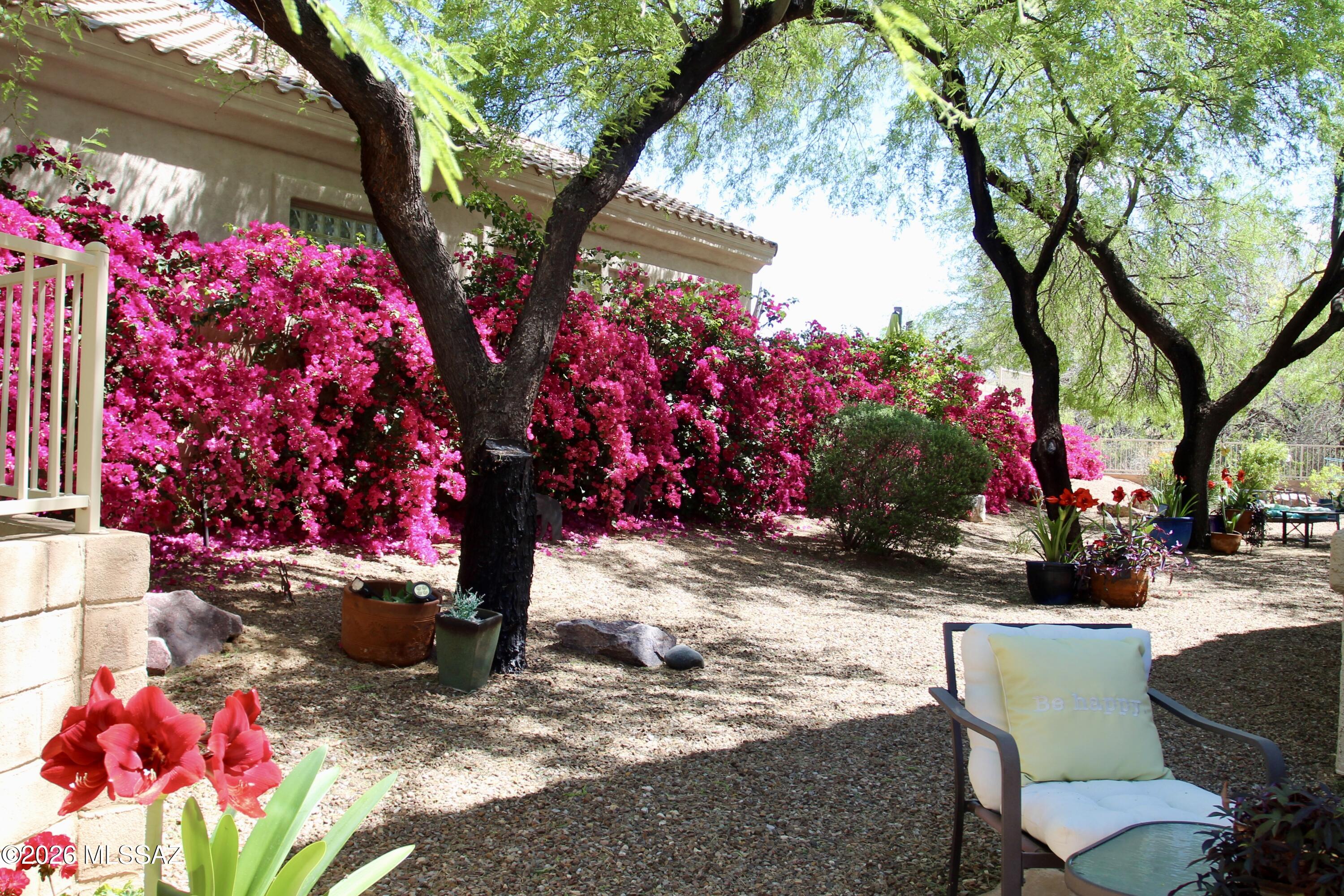 5202 Spring View Drive Tucson, AZ 85749 - Photo 8 of 49 a view of yard with patio