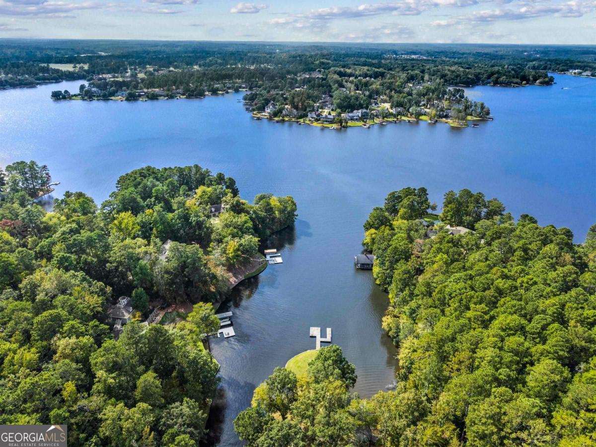 1901 Pine Grove Road Greensboro, GA 30642 - Photo 15 of 18 an aerial view of a houses with a lake view