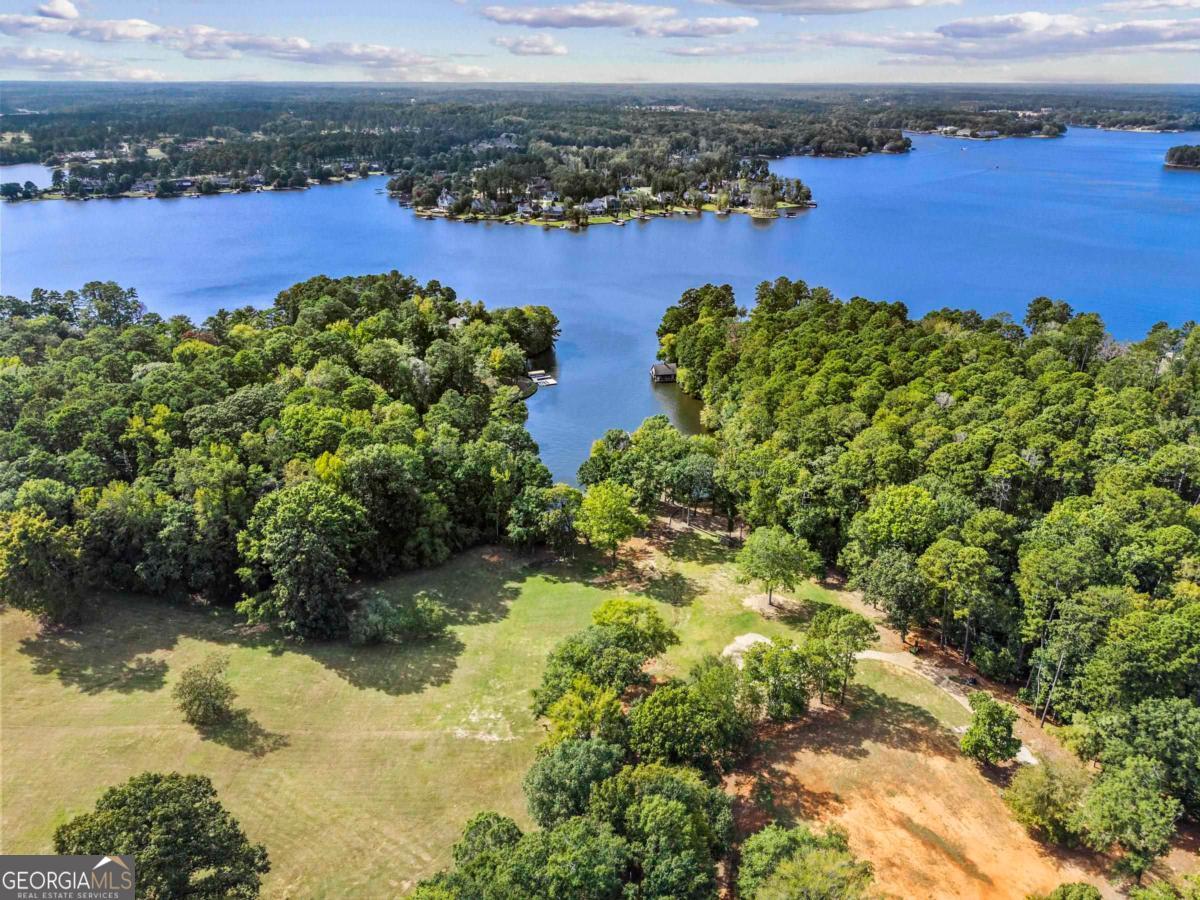 1901 Pine Grove Road Greensboro, GA 30642 - Photo 18 of 18 a view of a lake with houses in the back