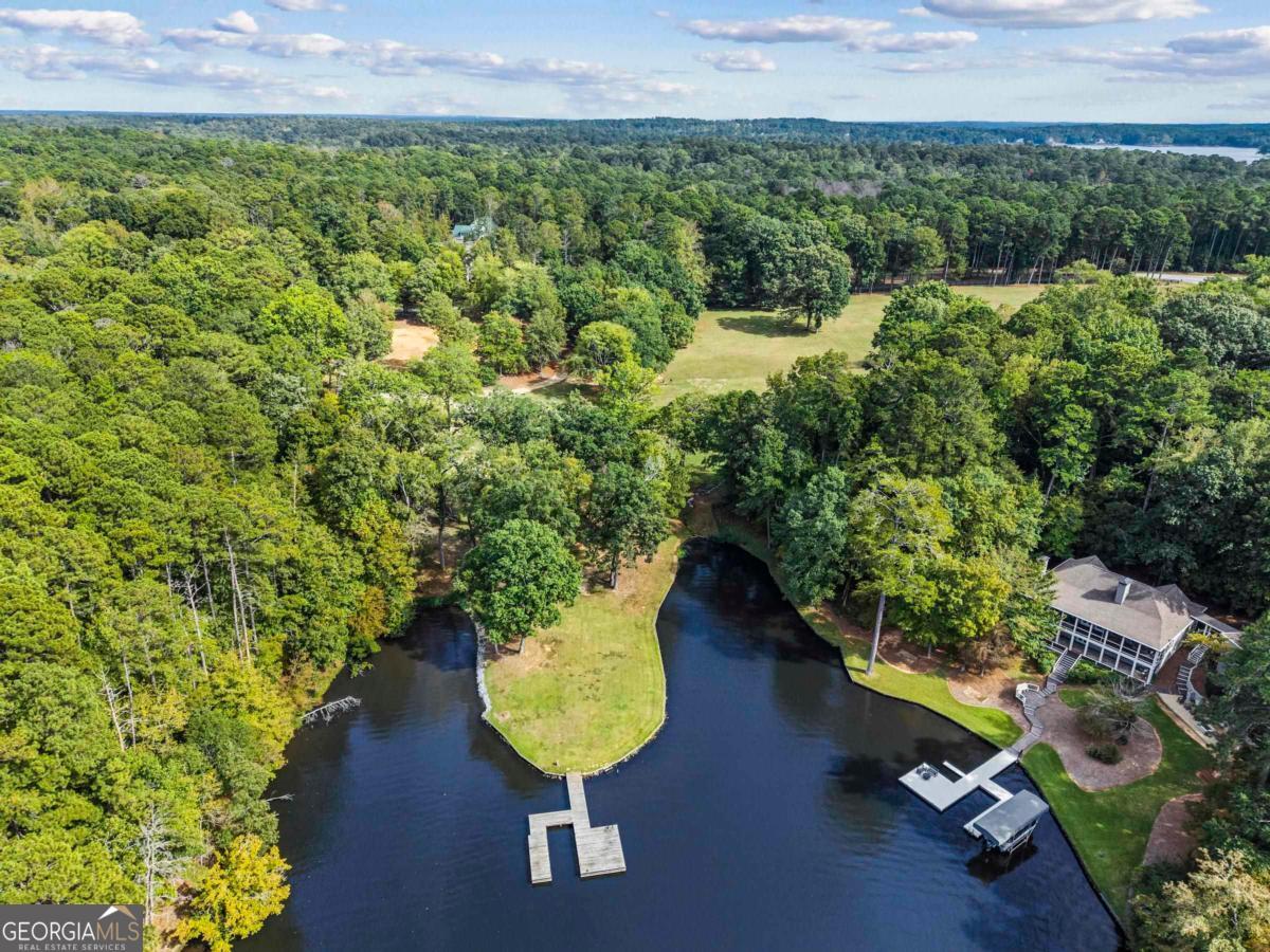 1901 Pine Grove Road Greensboro, GA 30642 - Photo 2 of 18 a view of a back yard from a lake