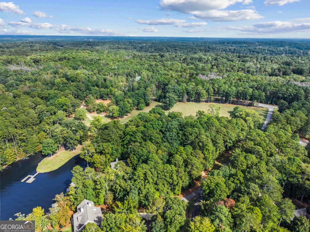 1901 Pine Grove Road Greensboro, GA 30642 - Photo 5 of 18 a view of a garden with an outdoor space