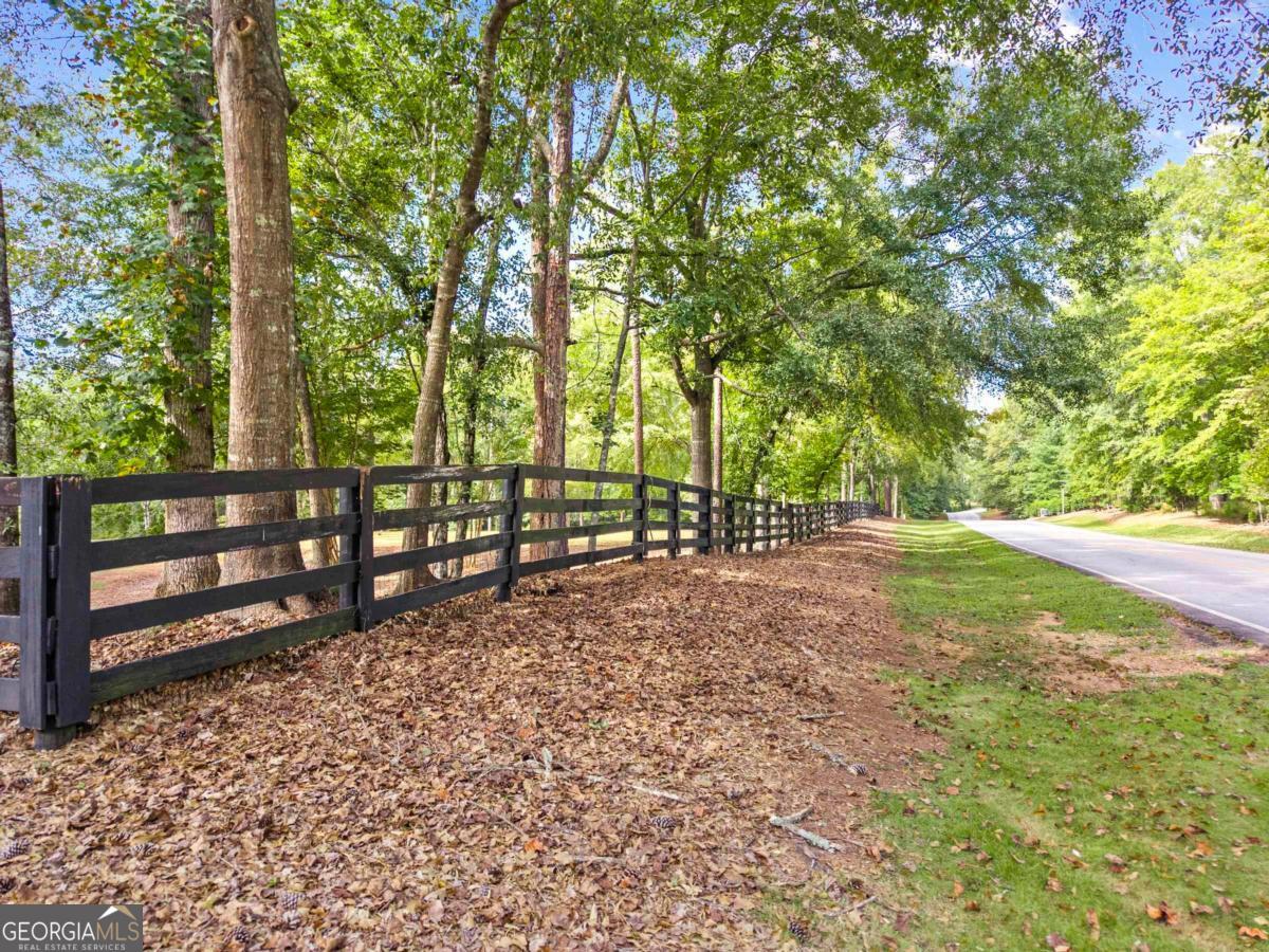 1901 Pine Grove Road Greensboro, GA 30642 - Photo 7 of 18 a view of backyard with tree
