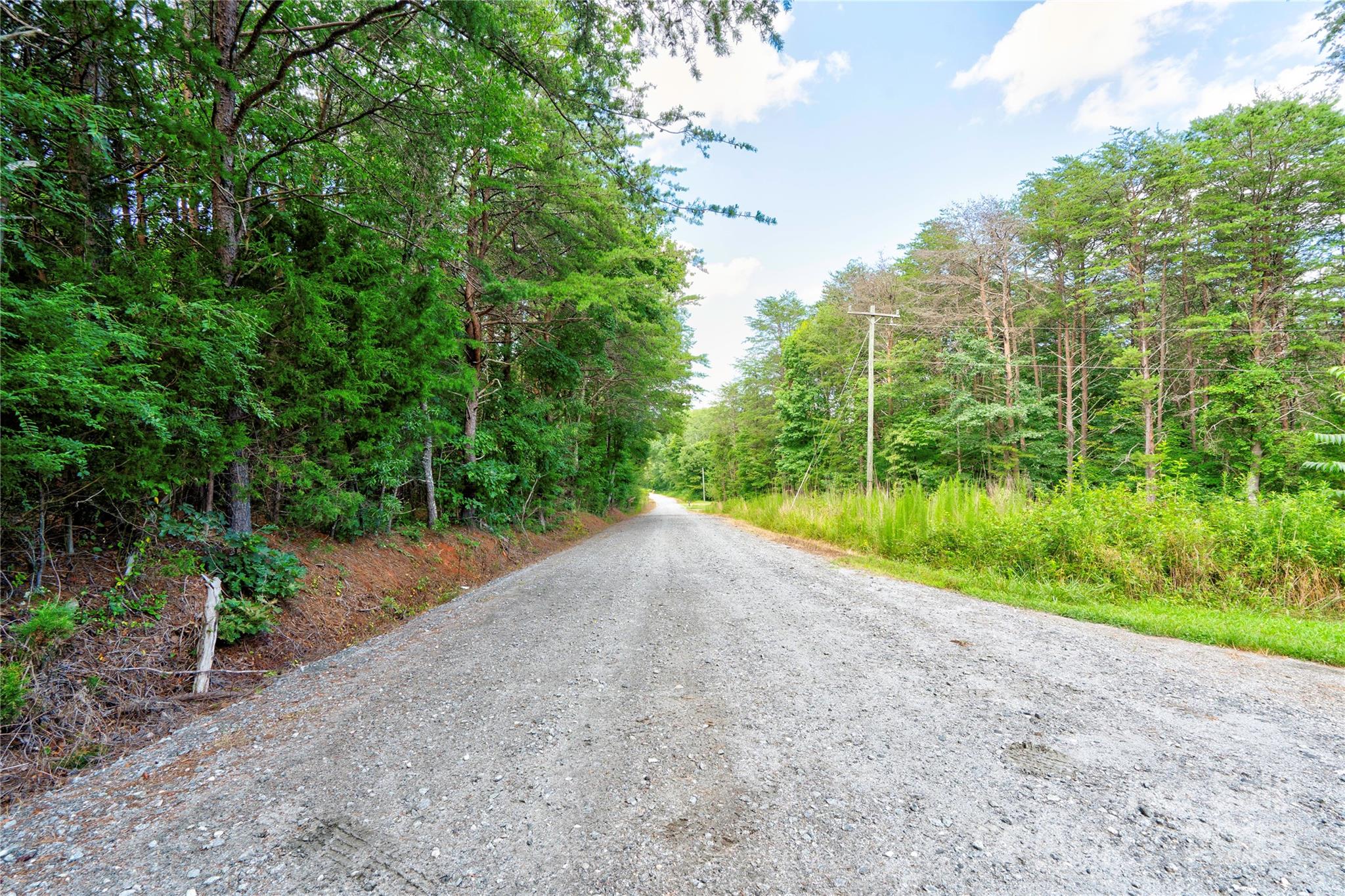 0 Ford Road Ellenboro, NC 28040 - Photo 2 of 5