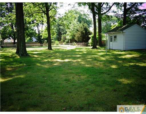 59 Orchard Road Middlesex, NJ 08846 - Photo 4 of 24 a view of park with trees