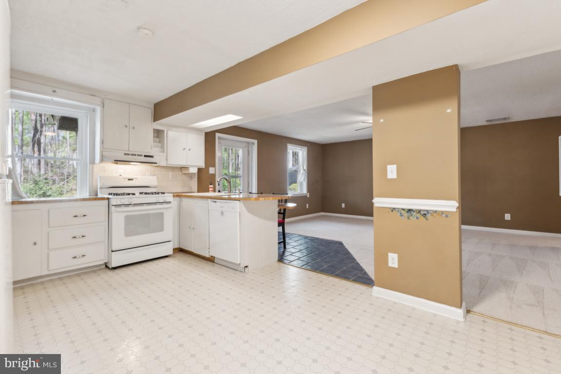 12320 Running Deer Road Manassas, VA 20112 - Photo 23 of 39 Second kitchen (basement)