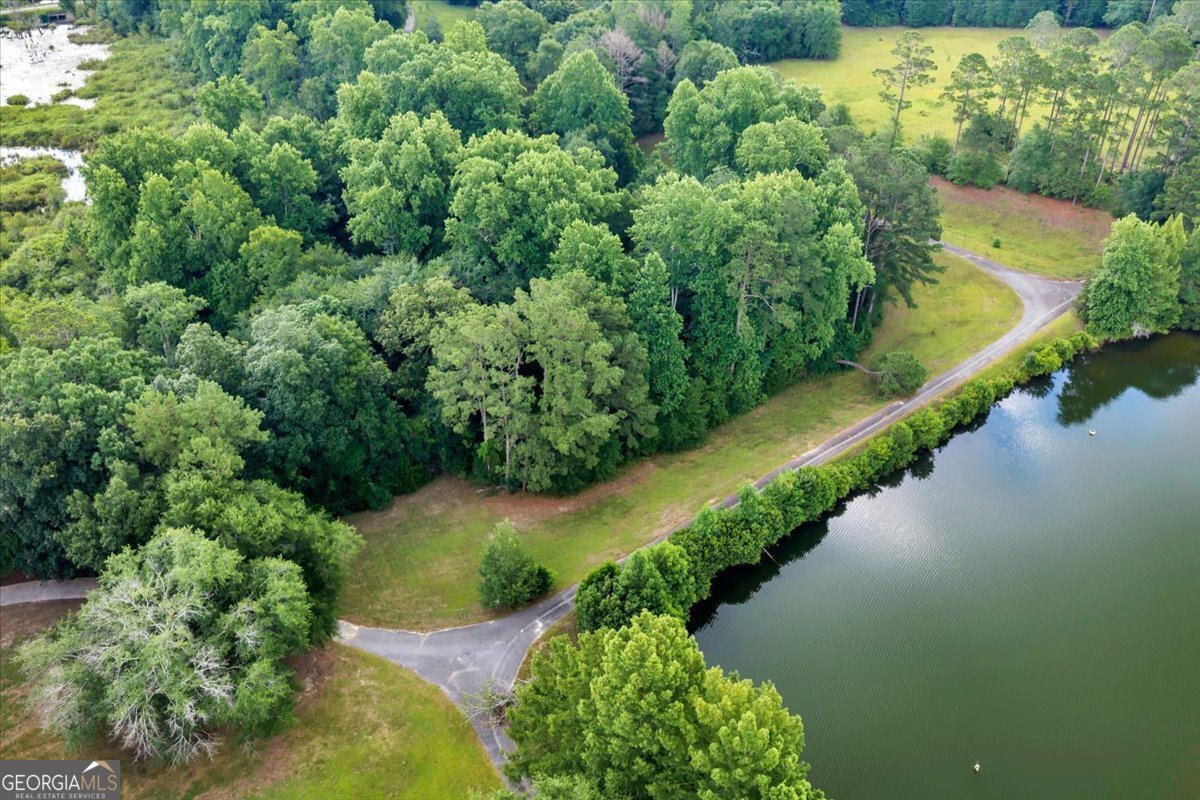 1060 Cooks Mill Road Oglethorpe, GA 31068 - Photo 81 of 104