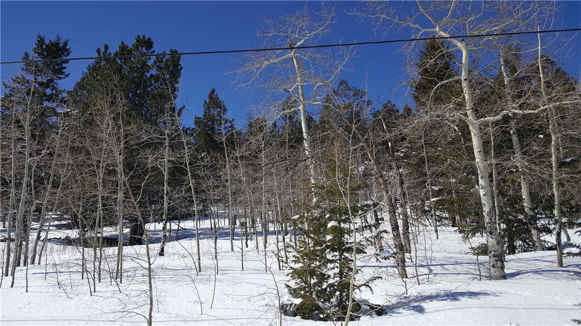 Lot 499 Redhill Road Fairplay, CO 80440 - Photo 10 of 32 Gallery Image 10
