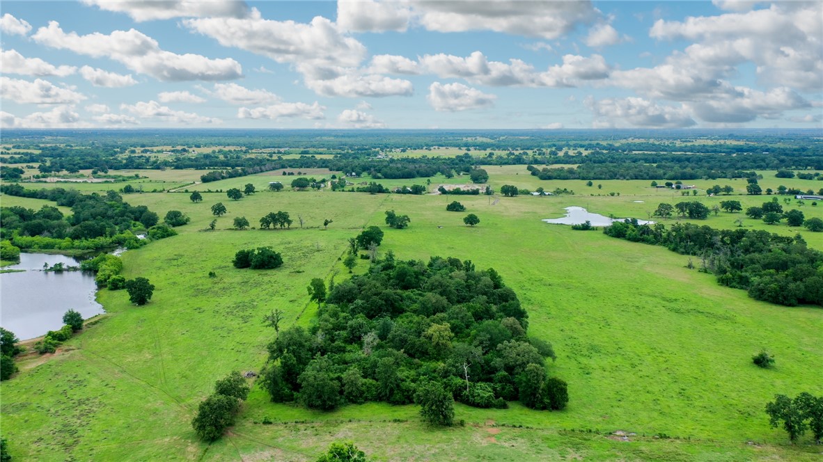 Tbd Pleasant Grove Road Iola, TX 77861 - Photo 5 of 18 a view of a city