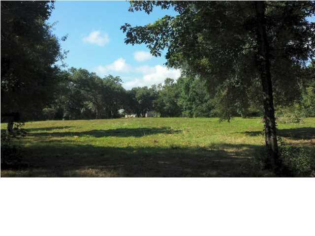 D1 Shark Hole Road Meggett, SC 29449 - Photo 1 of 9 sharkhole rd 4