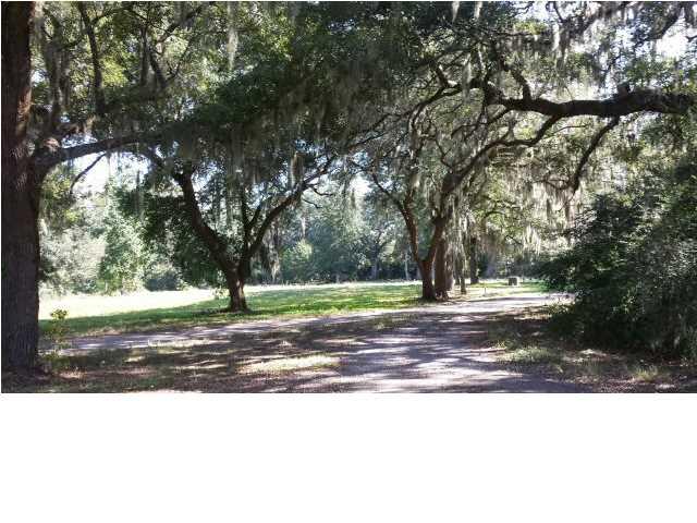 D1 Shark Hole Road Meggett, SC 29449 - Photo 5 of 9 sharkhole rd 2