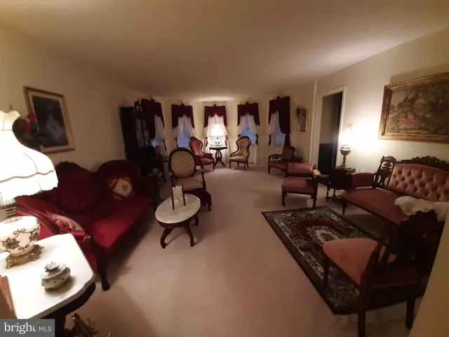 a living room with furniture potted plant and a lamp