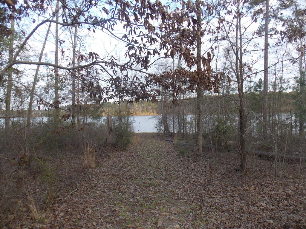 2 Chamberlain S Ferry Road Lincolnton, GA 30817 - Photo 1 of 11 Main View