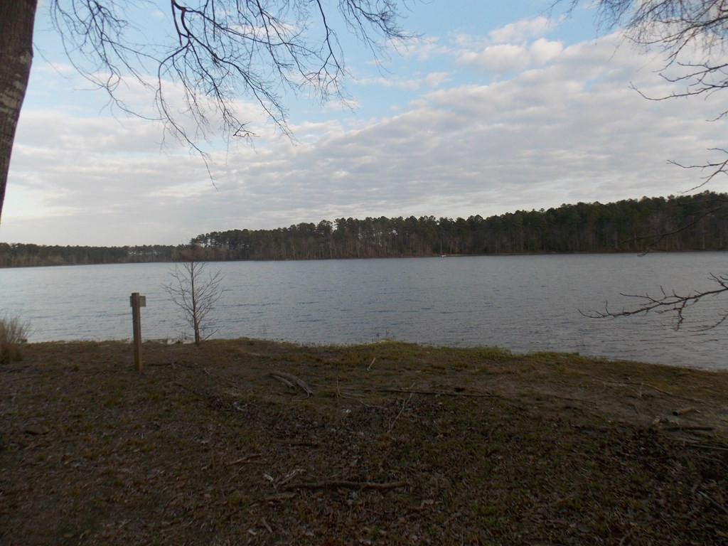 2 Chamberlain S Ferry Road Lincolnton, GA 30817 - Photo 11 of 11