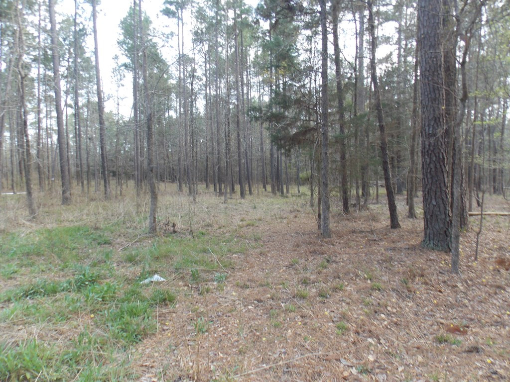 2 Chamberlain S Ferry Road Lincolnton, GA 30817 - Photo 2 of 11