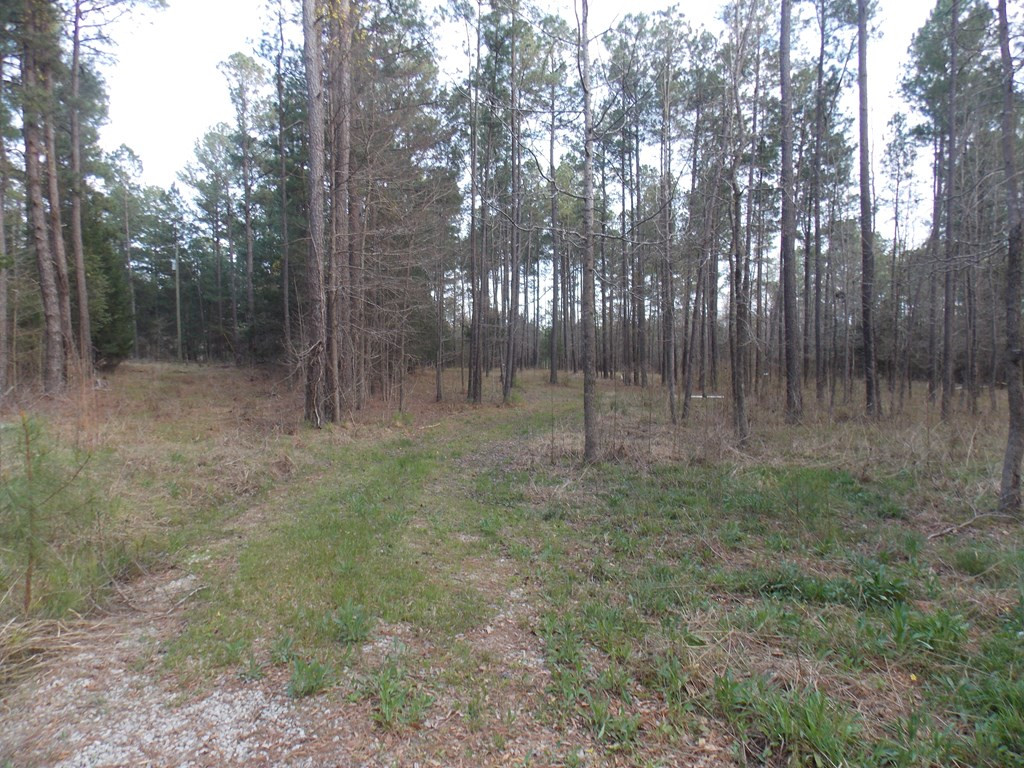 2 Chamberlain S Ferry Road Lincolnton, GA 30817 - Photo 3 of 11