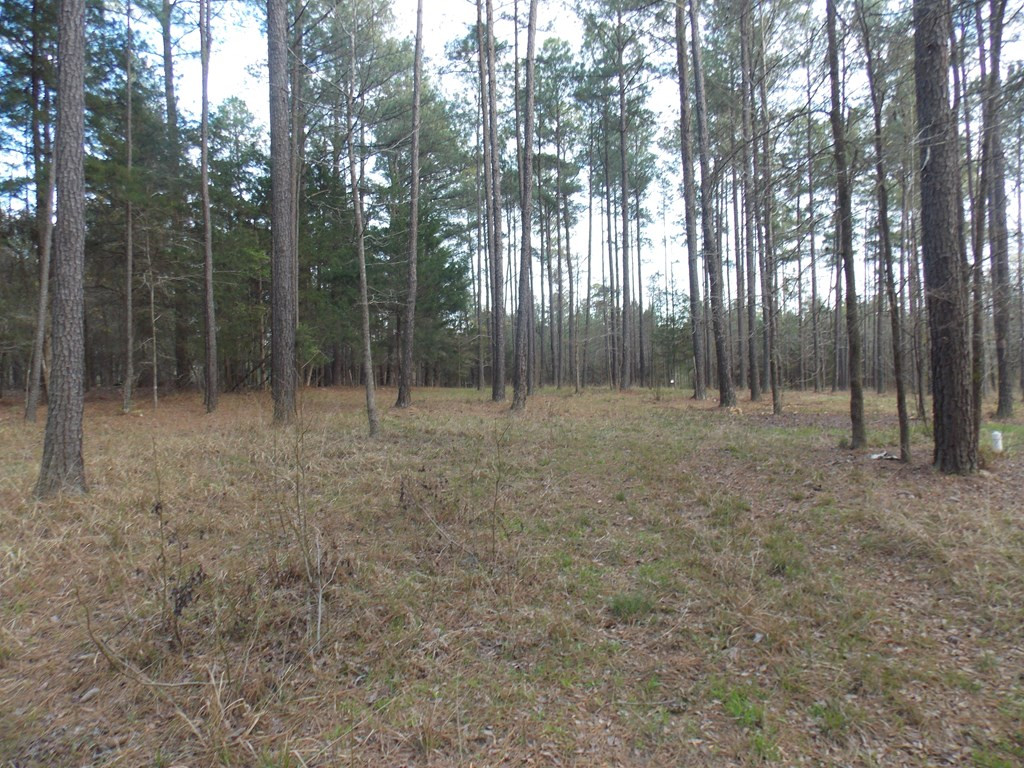 2 Chamberlain S Ferry Road Lincolnton, GA 30817 - Photo 5 of 11
