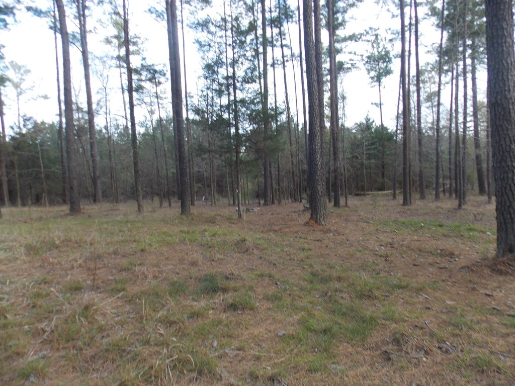 2 Chamberlain S Ferry Road Lincolnton, GA 30817 - Photo 6 of 11