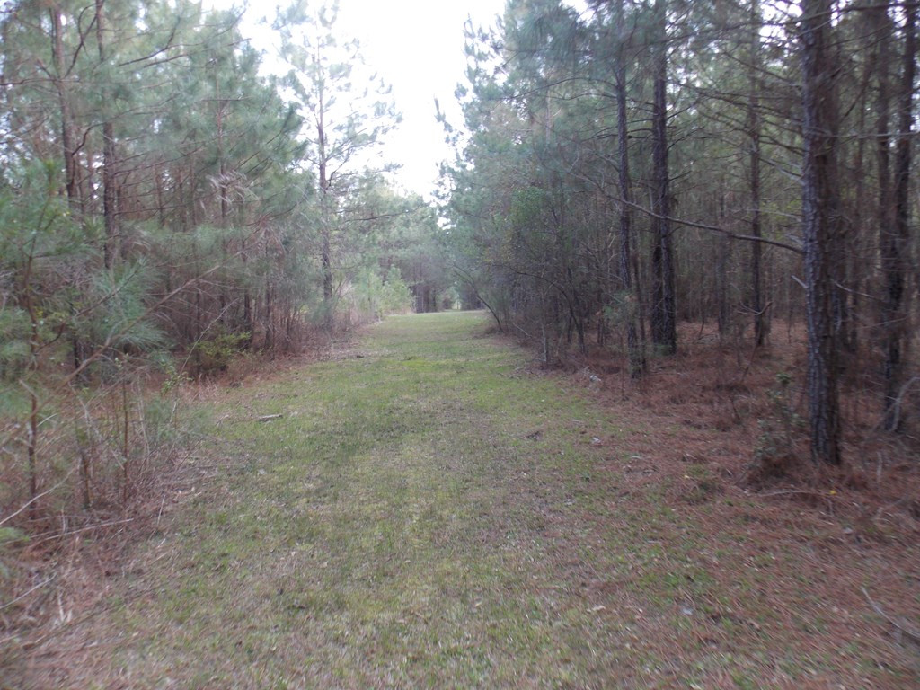 2 Chamberlain S Ferry Road Lincolnton, GA 30817 - Photo 7 of 11