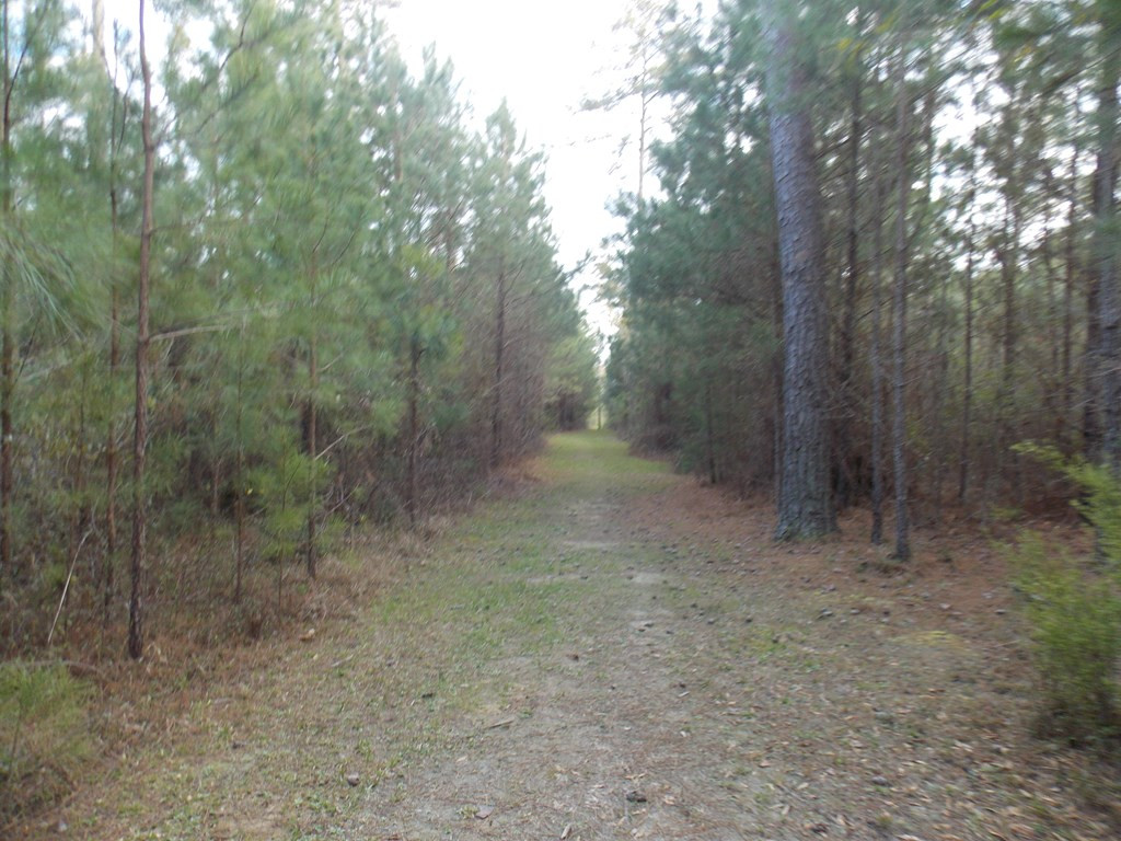2 Chamberlain S Ferry Road Lincolnton, GA 30817 - Photo 8 of 11