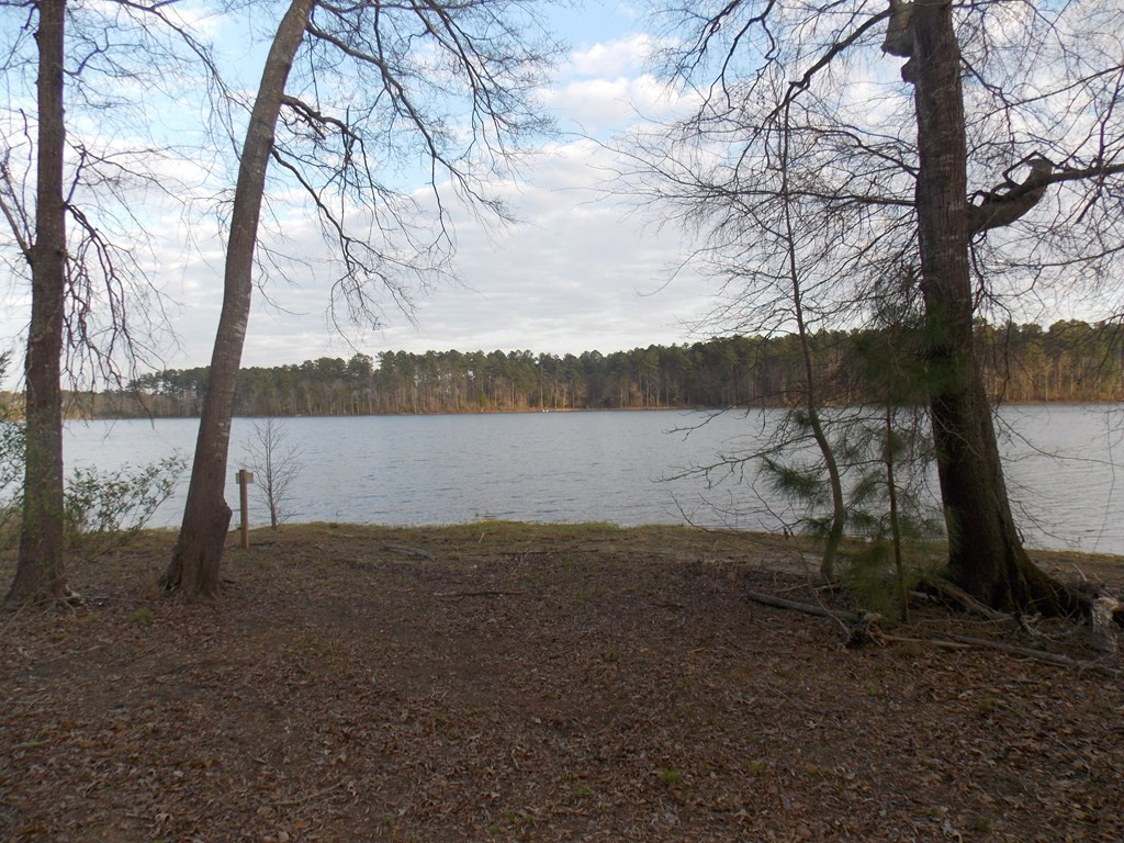 2 Chamberlain S Ferry Road Lincolnton, GA 30817 - Photo 10 of 11