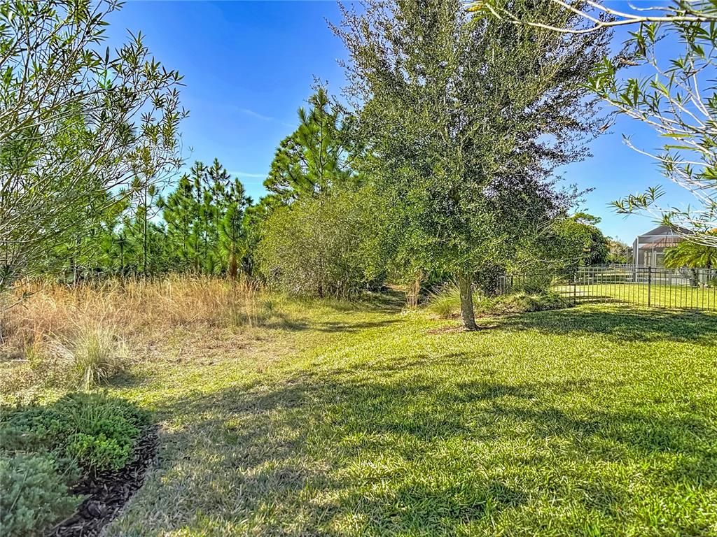 8613 Grand Alberato Road Tampa, FL 33647 - Photo 6 of 56