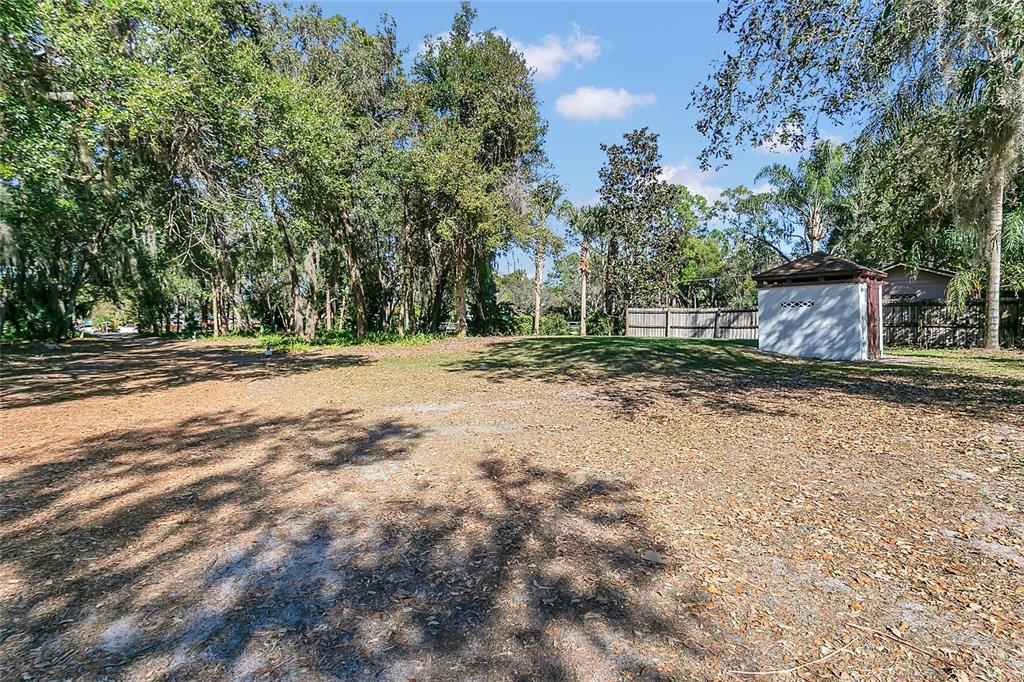 336 Mary Jess Road Orlando, FL 32839 - Photo 50 of 63 a view of a backyard with large trees