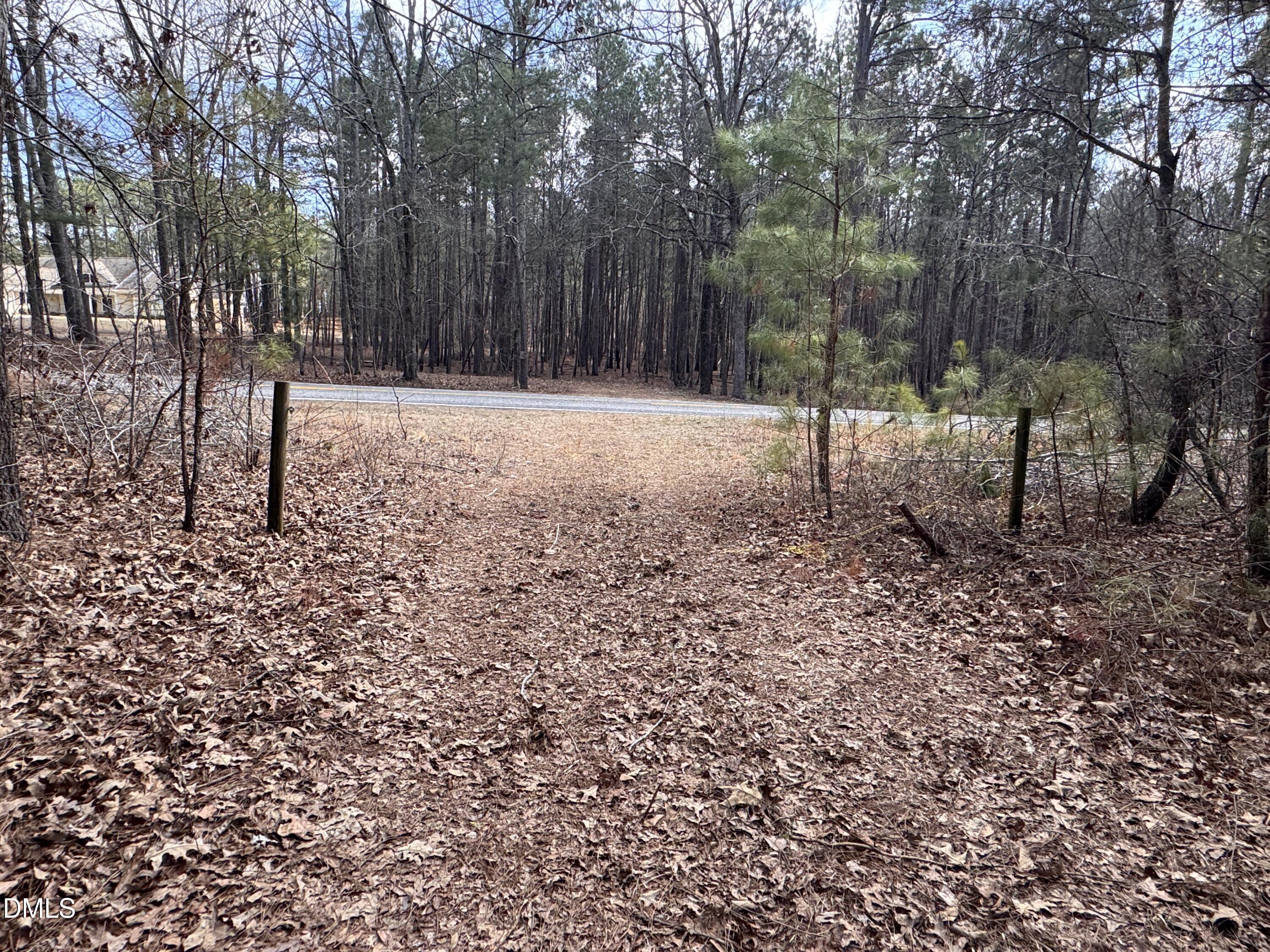 0 Loop Road Bunnlevel, NC 28323 - Photo 4 of 8 a view of outdoor space with trees
