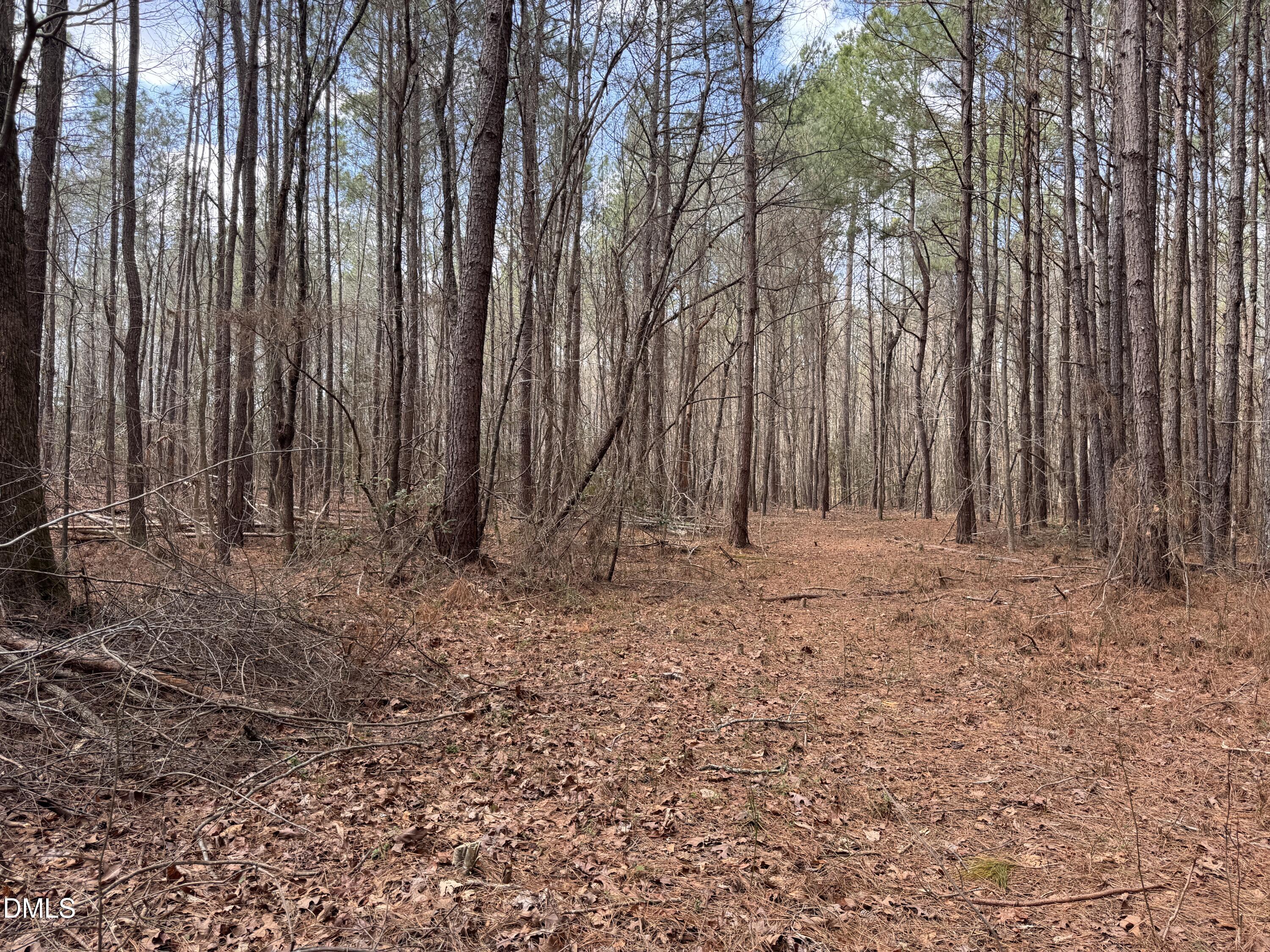0 Loop Road Bunnlevel, NC 28323 - Photo 6 of 8 a view of outdoor space with wooden fence