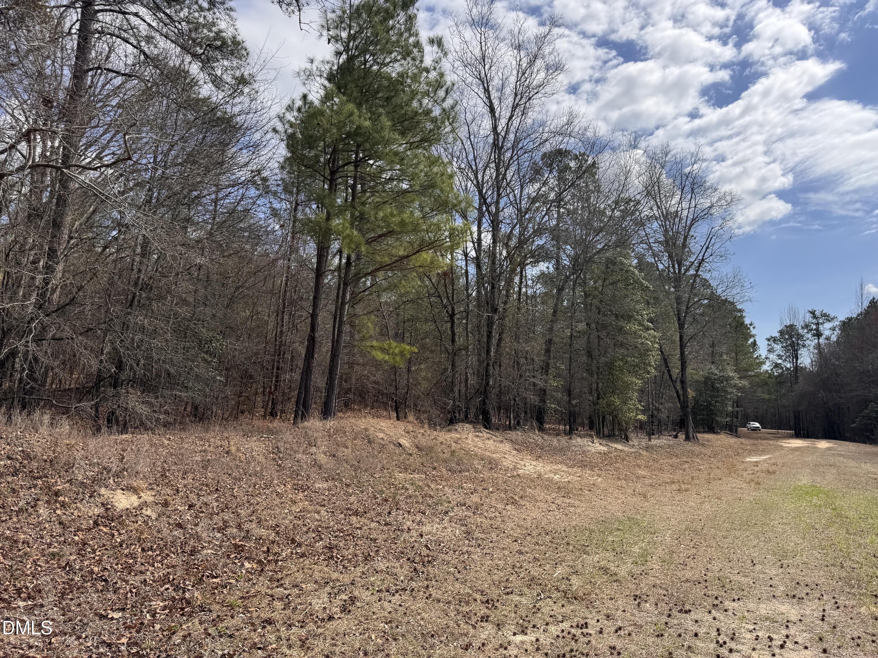 0 Loop Road Bunnlevel, NC 28323 - Photo 7 of 8 a backyard of a house