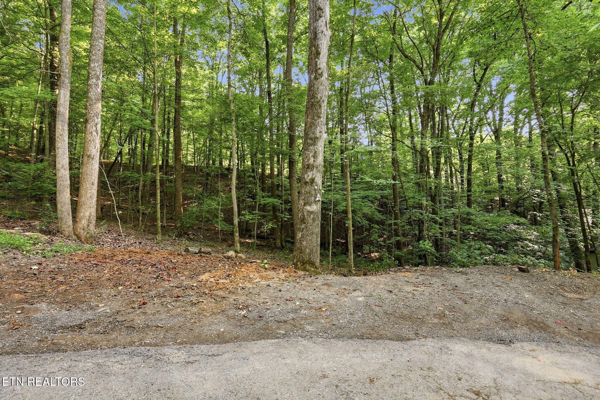 104 Connors Place Oak Ridge, TN 37830 - Photo 46 of 48 Gallery Image 46