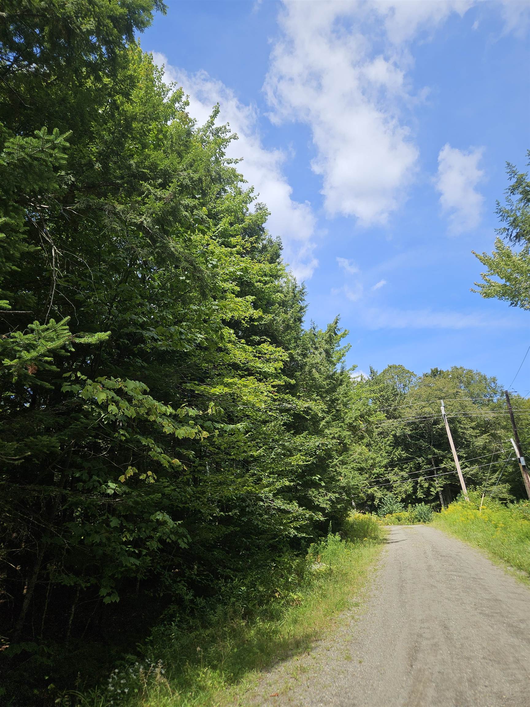 27 Country Court Wilmington, VT 05363 - Photo 11 of 48