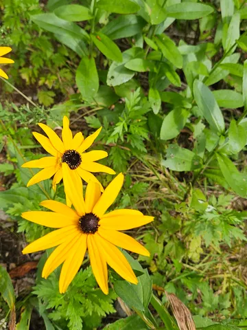 $435,000 | 27 Country Court, Wilmington, VT 05363