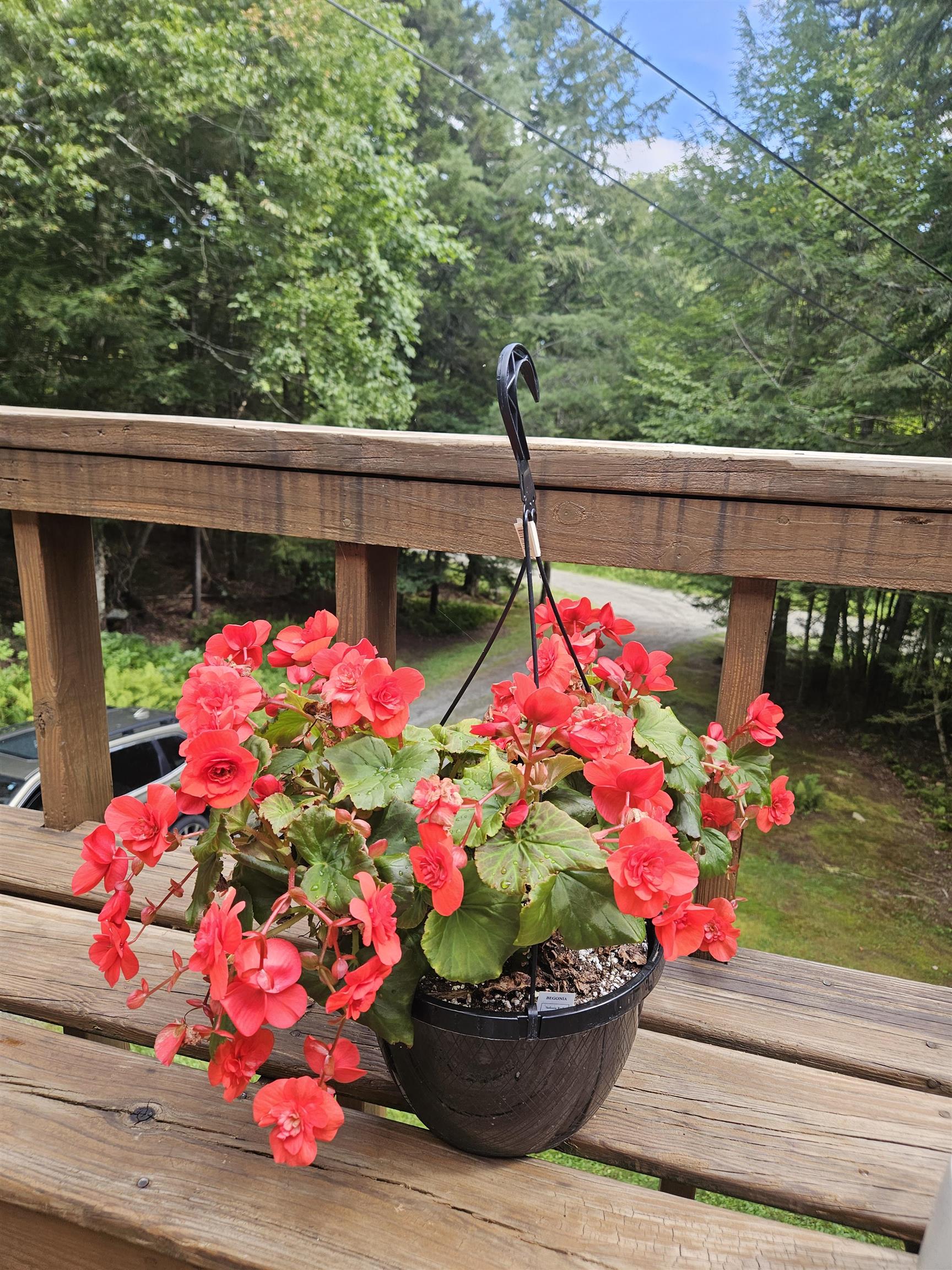 27 Country Court Wilmington, VT 05363 - Photo 7 of 48