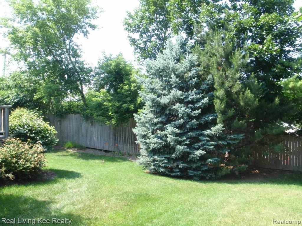 417 Bolinger Street Rochester, MI 48307 - Photo 20 of 20 Summertime Privacy