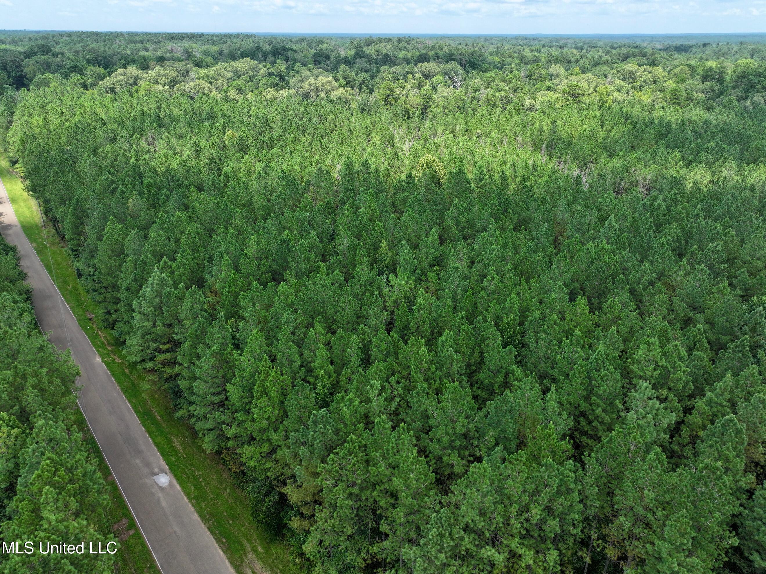 Miggins Road Canton, MS 39046 - Photo 3 of 9 dji_fly_20250801_131700_0002_17543043732