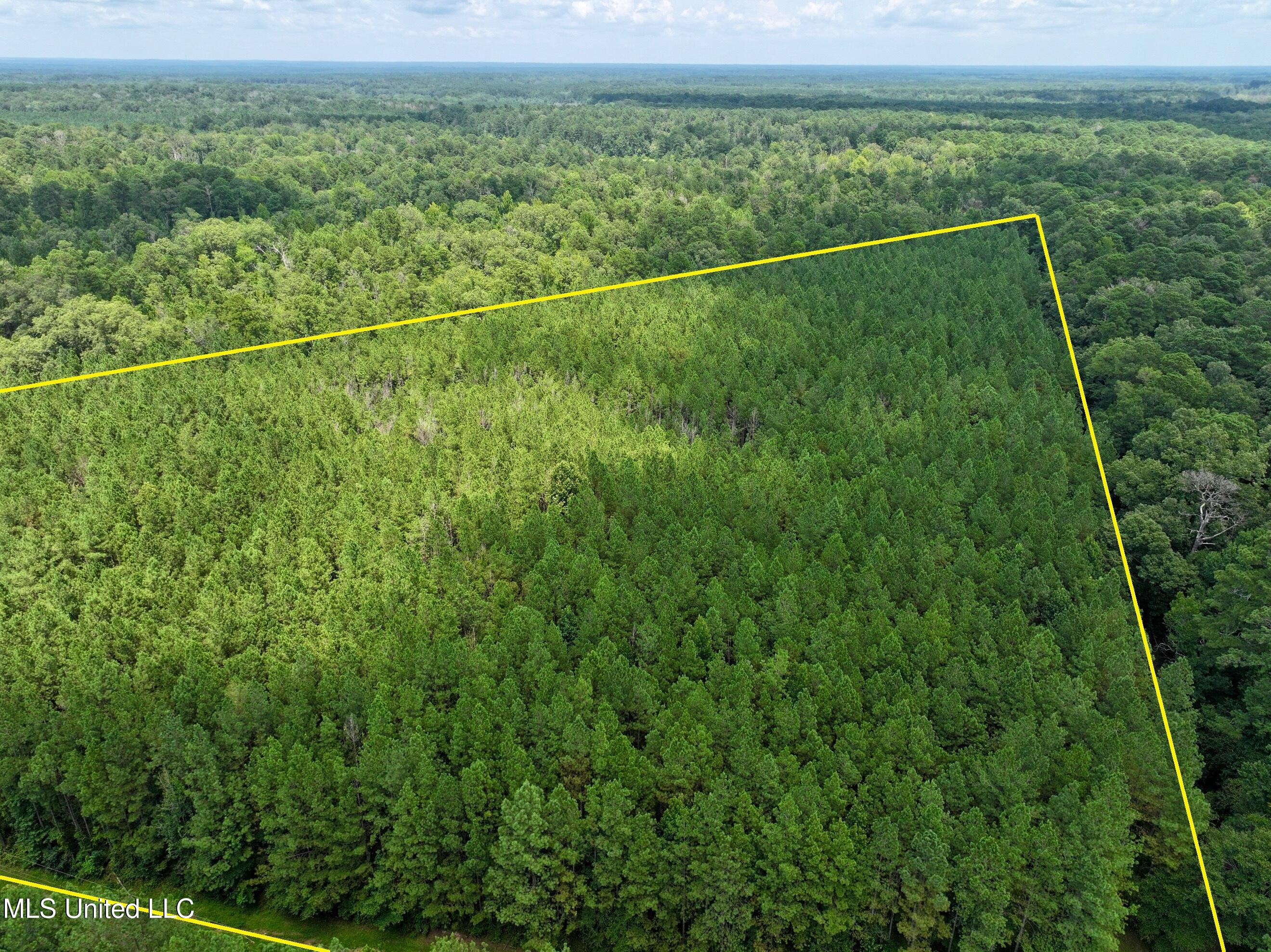 Miggins Road Canton, MS 39046 - Photo 4 of 9 dji_fly_20250801_131714_0003_17543043706