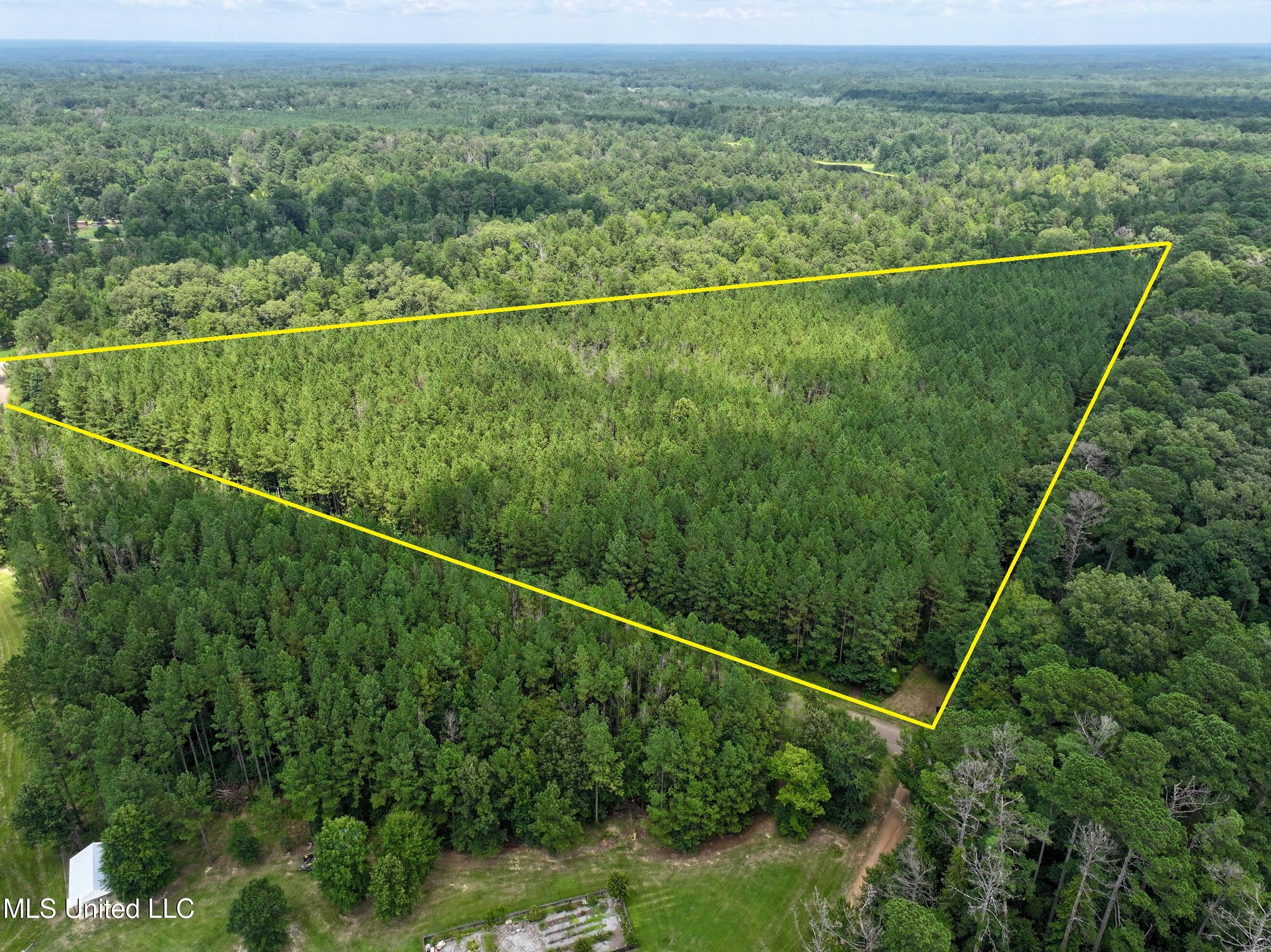 Miggins Road Canton, MS 39046 - Photo 5 of 9 dji_fly_20250801_131734_0004_17543043681