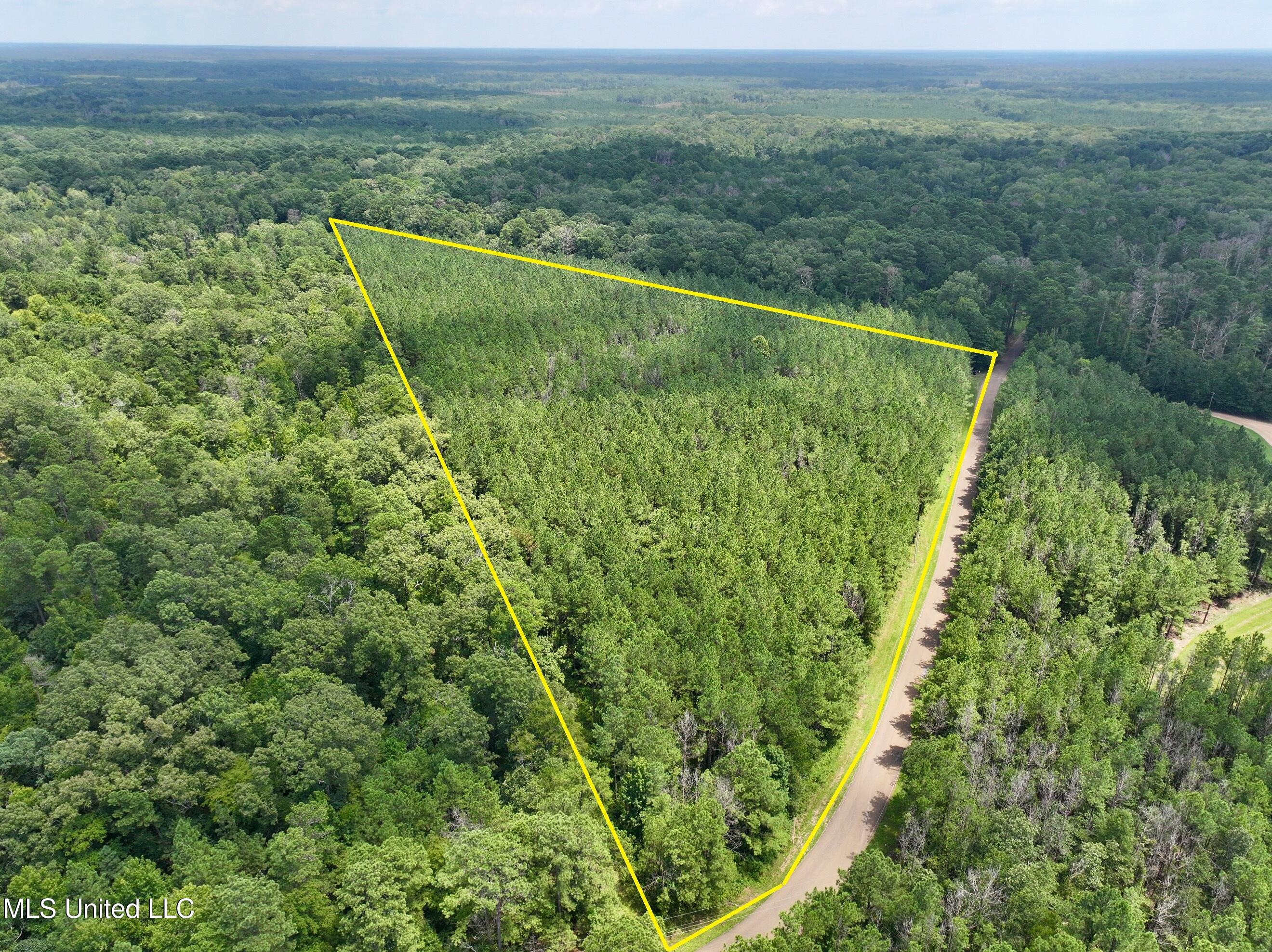 Miggins Road Canton, MS 39046 - Photo 6 of 9 dji_fly_20250801_131818_0006_17543043629